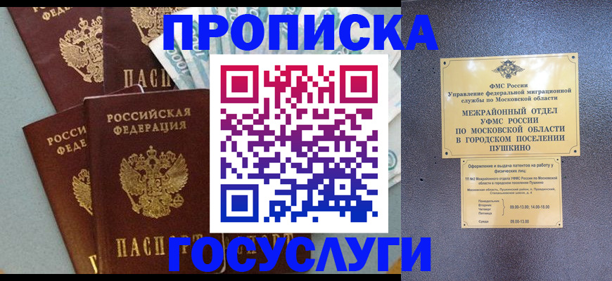 прописка гарантия в Химках